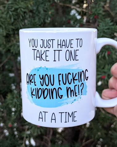 You Just Have To Take It One 'Are You Fucking Kidding Me?' at a Time Mug